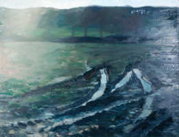 Frank Bauer - Acker