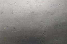 Frank Bauer - Regen 1