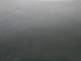 Frank Bauer - Regen 2