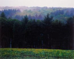 Frank Bauer - Wald (Radevormwald)
